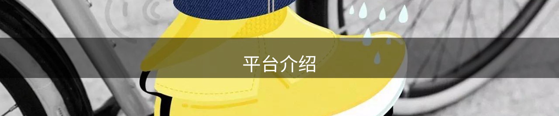 平台介绍