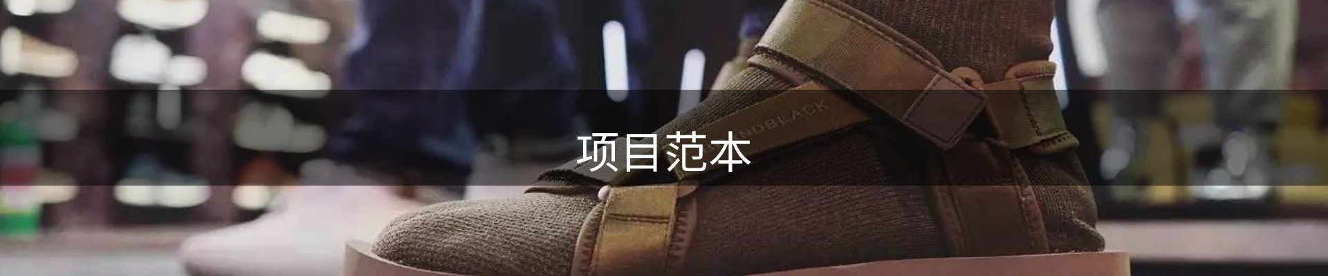 项目范本